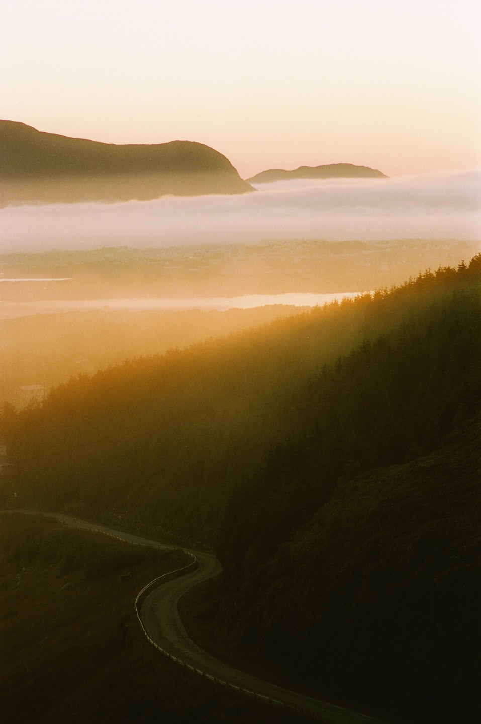 A winding road leads through a forest and mountains with a layer of fog in the distance during golden hour.