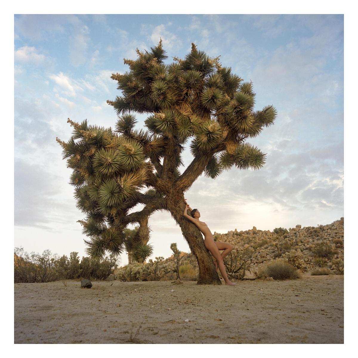 A woman leans against a joshua tree in a desert landscape under a cloudy sky.