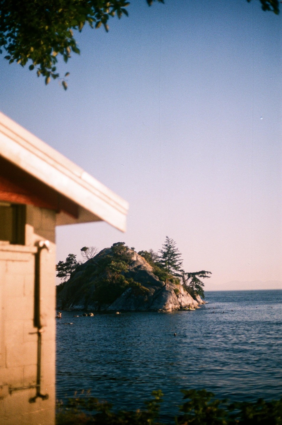 A small, rocky island covered in trees sits in the water, with a building and foliage in the foreground.