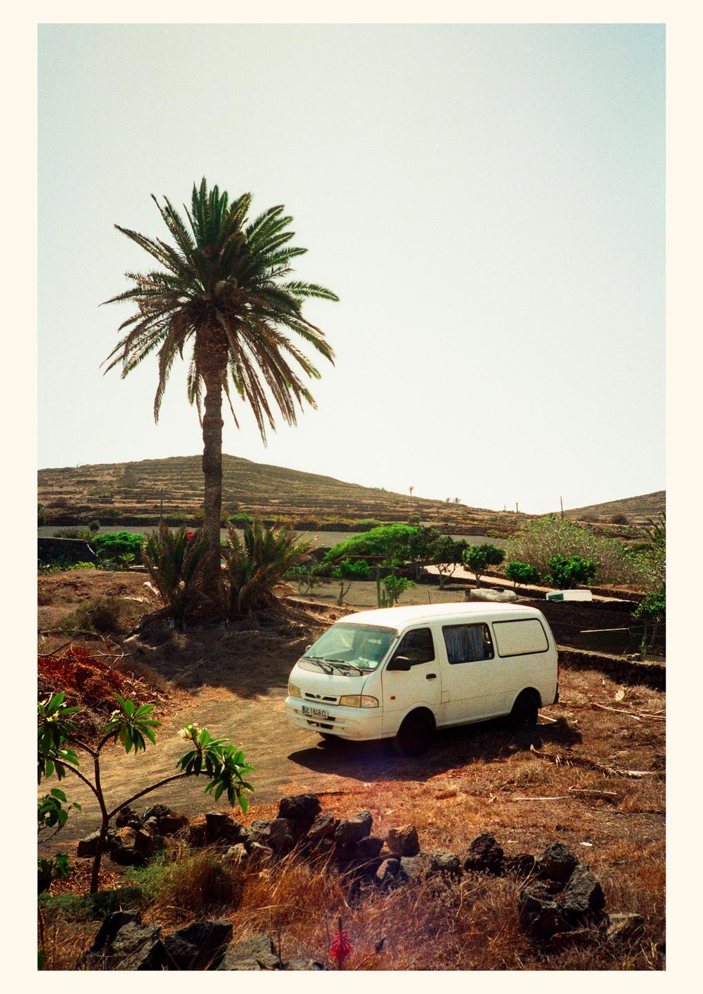 A white van is parked on a dirt road next to a palm tree with a hill in the background.