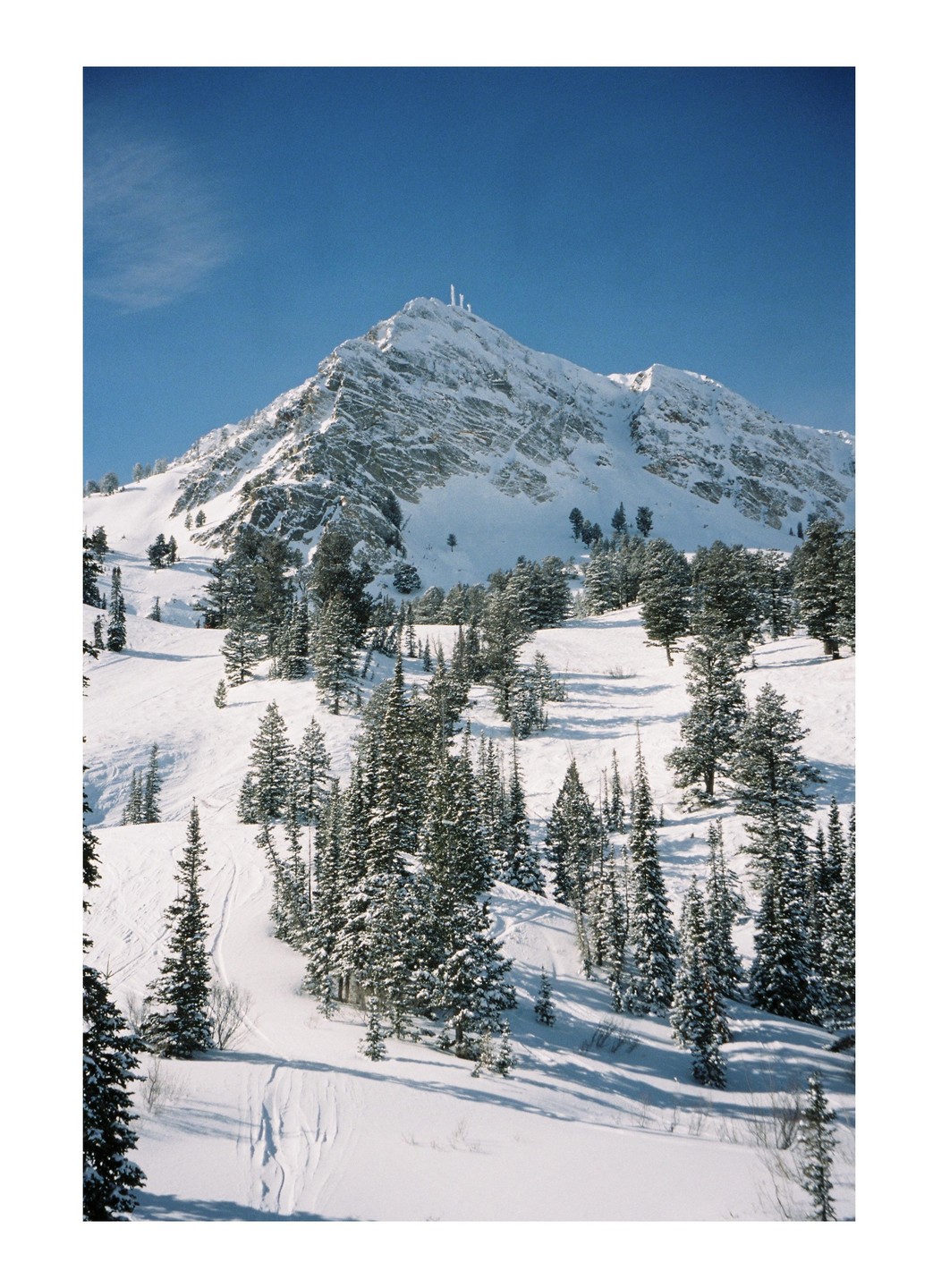 A snow-covered mountain with pine trees and ski tracks is visible under a clear blue sky.