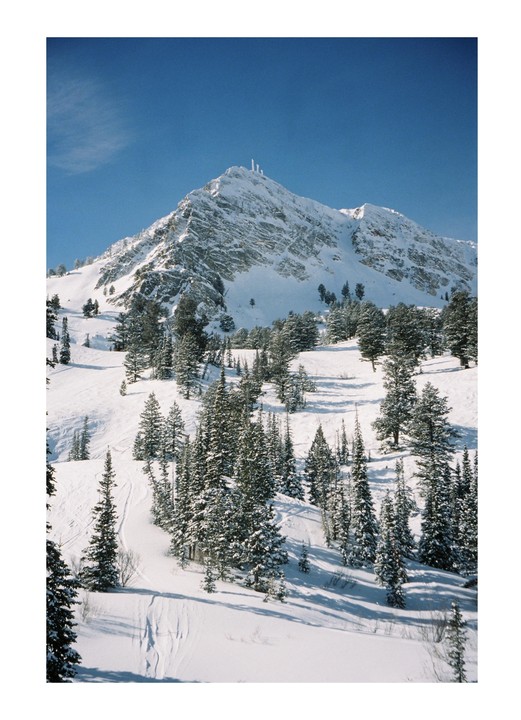 A snow-covered mountain with pine trees and ski tracks is visible under a clear blue sky.