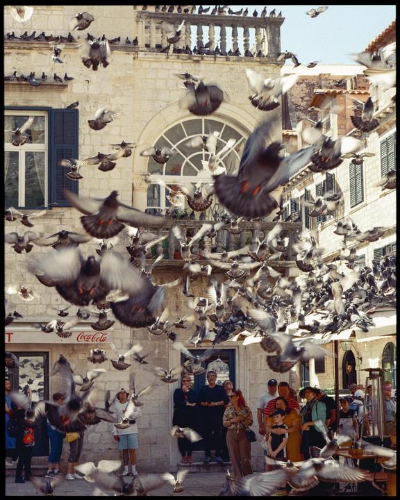 A large flock of pigeons flies around a group of people standing in front of a building with a Coca-Cola sign.