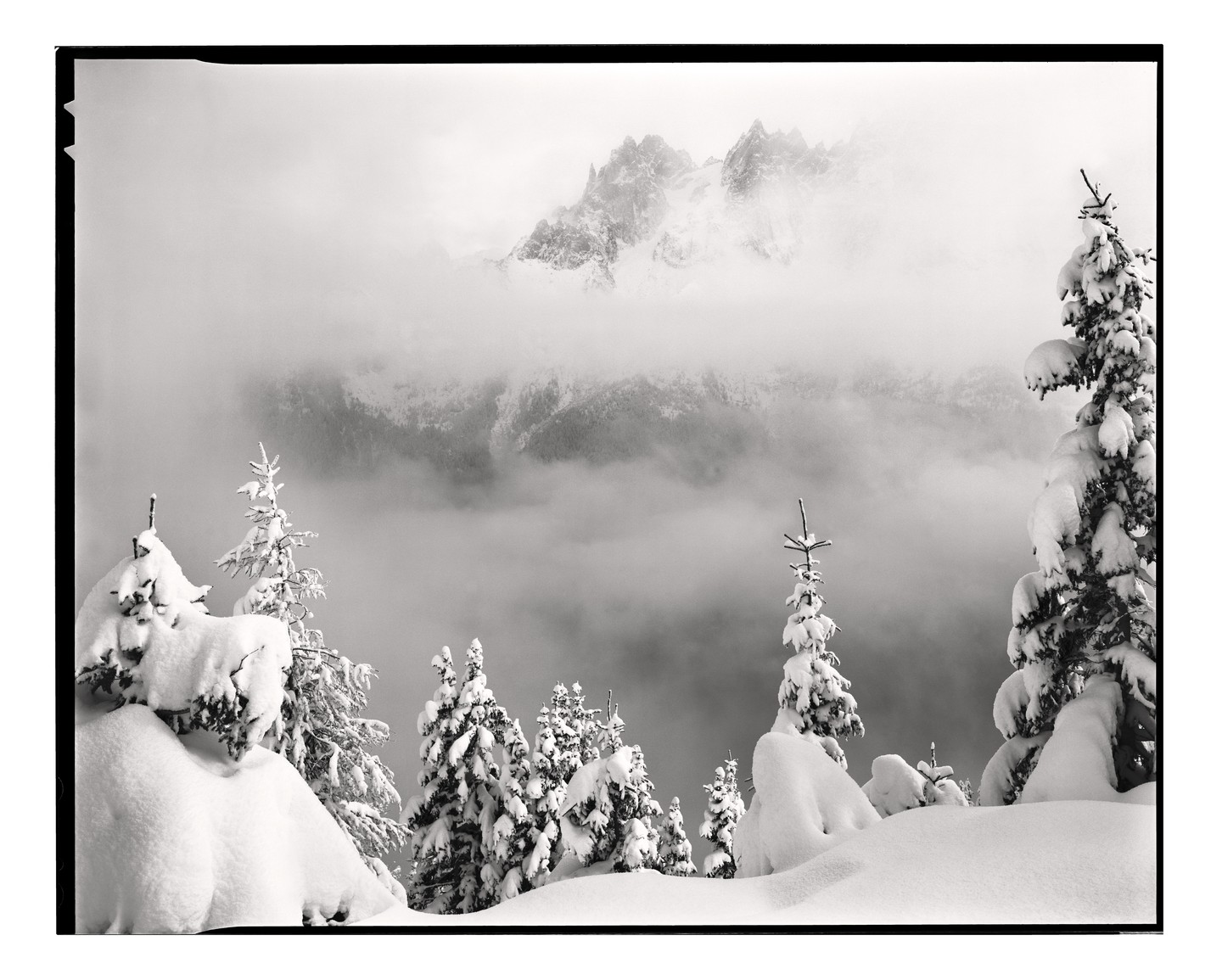 Snow-covered pine trees stand in the foreground with a mountain range shrouded in mist in the background.