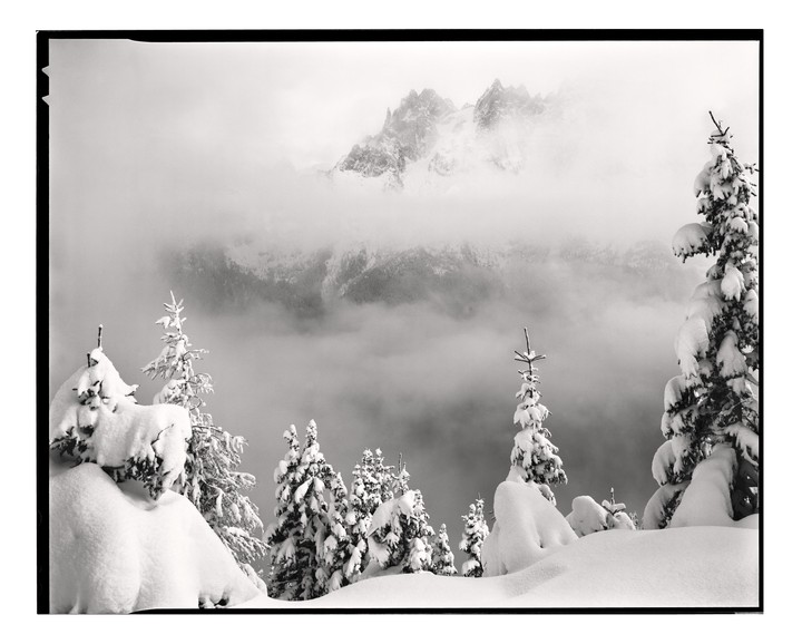 Snow-covered pine trees stand in the foreground with a mountain range shrouded in mist in the background.