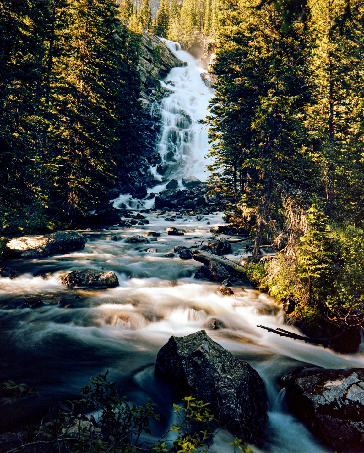 A long exposure captures the movement of water cascading down a rocky waterfall and flowing into a river surrounded by a forest.