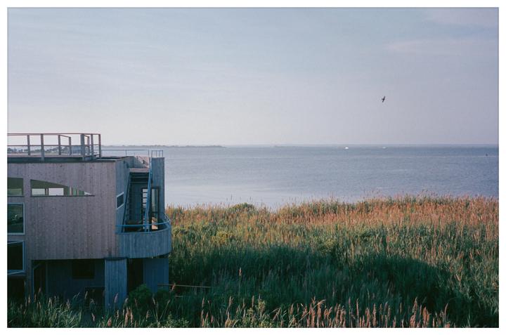 A modern wooden house with a balcony overlooks a body of water and tall grass.
