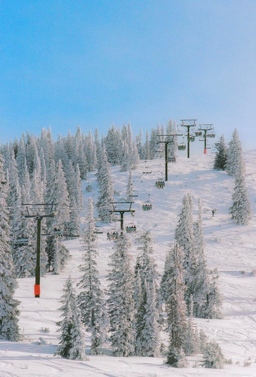 A snowy mountain landscape features several ski lifts carrying people up a slope lined with snow-covered evergreen trees.
