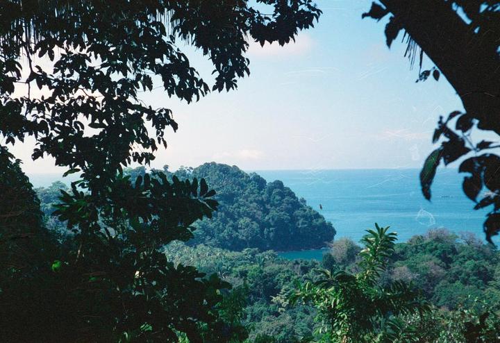 A lush green jungle landscape overlooks a blue ocean with a small bay.