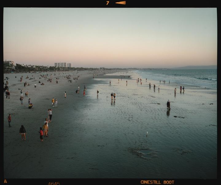 A wide shot shows a beach with many people walking along the shore and in the water at dusk.