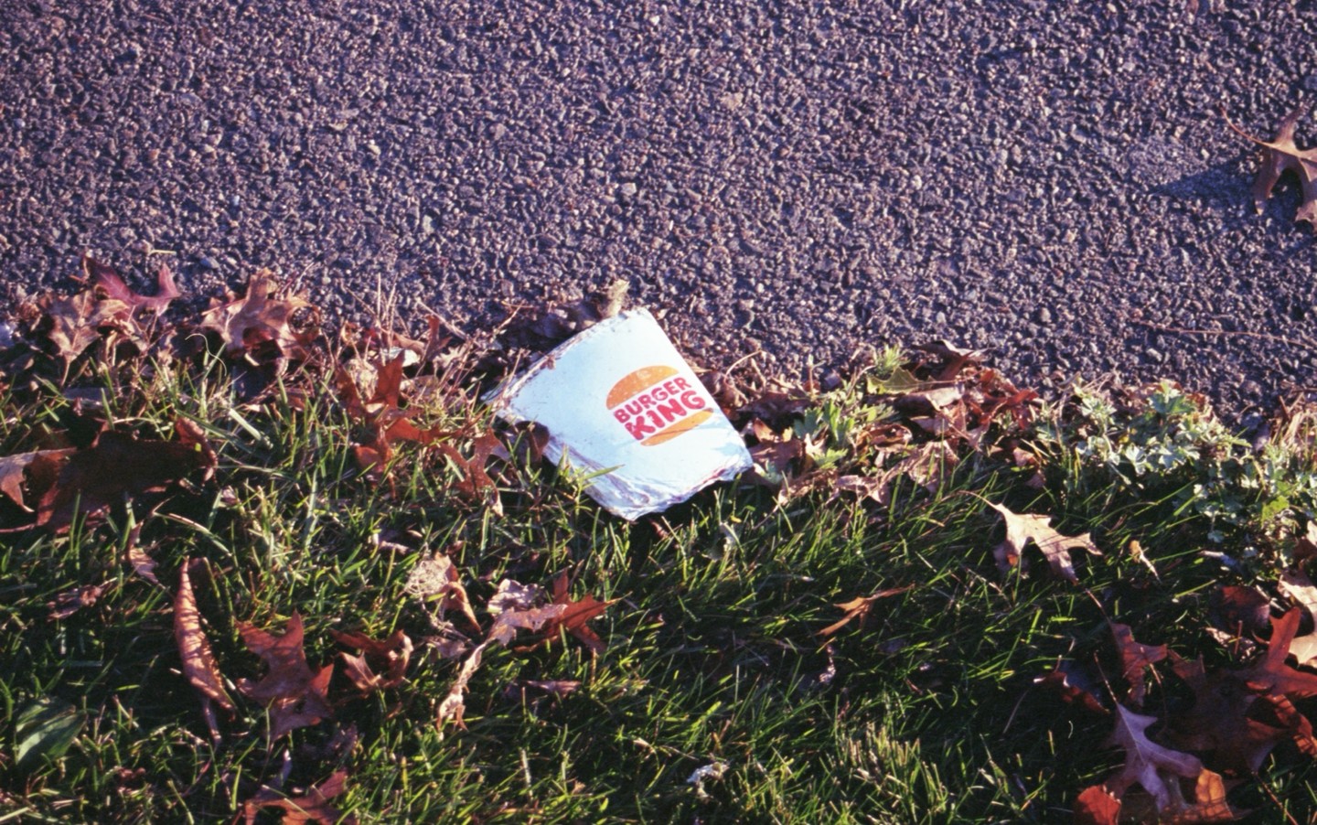 A discarded Burger King cup lies on the edge of a paved surface next to grass and fallen autumn leaves.