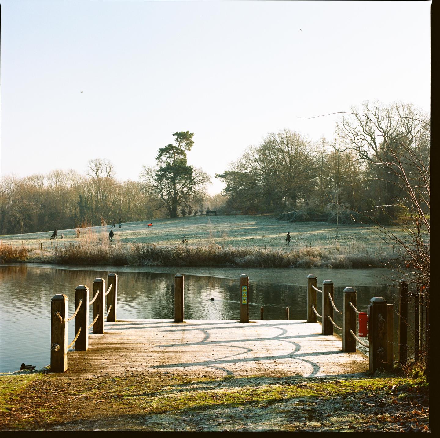 A wooden dock extends into a lake with a frost-covered field and trees in the background.