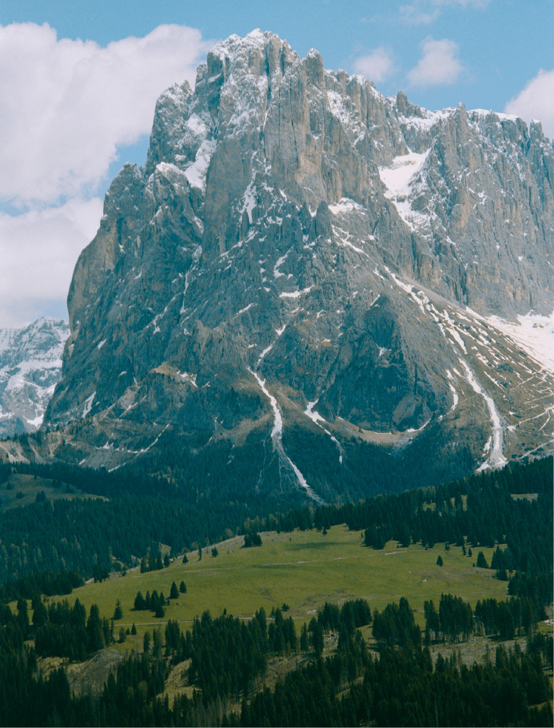 A snow-capped mountain rises above a green valley with a dense forest.