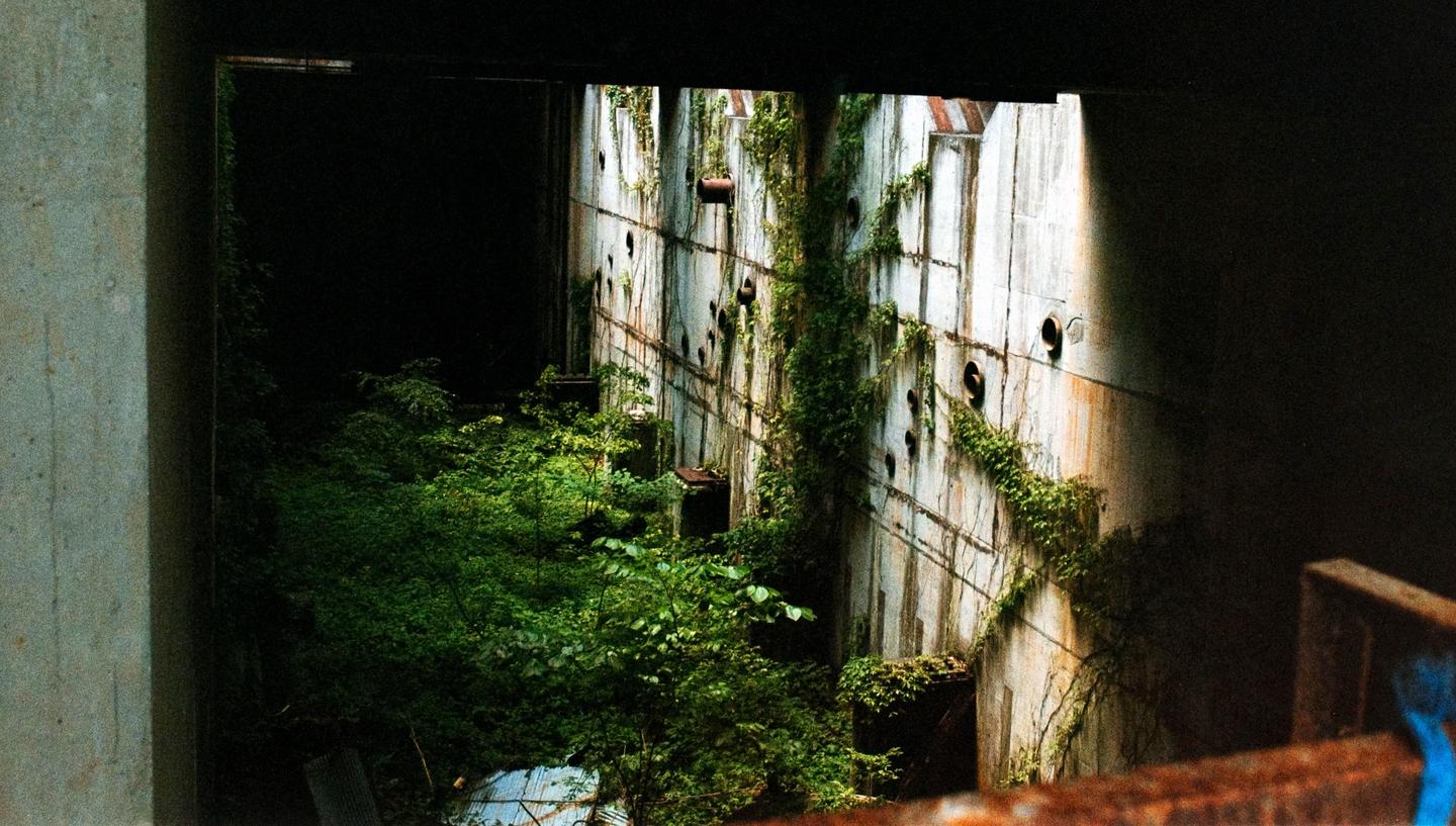 A concrete structure covered in vines and foliage is viewed through a dark opening.