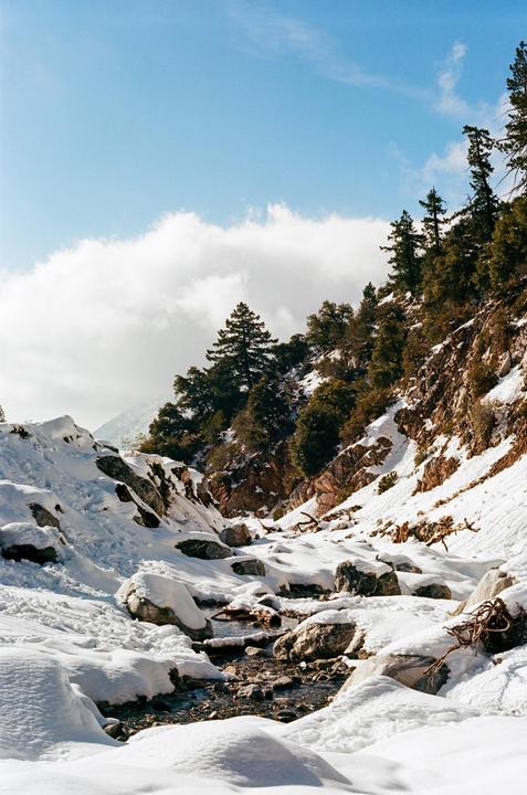 A snow-covered mountain landscape features a stream flowing through a valley with pine trees on the slopes under a partly cloudy sky.