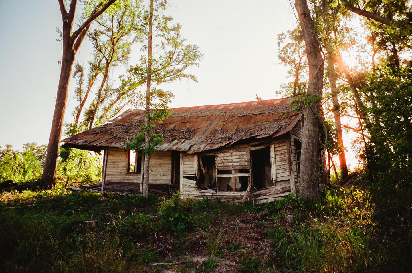 An abandoned wooden house with a rusty tin roof stands among trees, illuminated by the setting sun.
