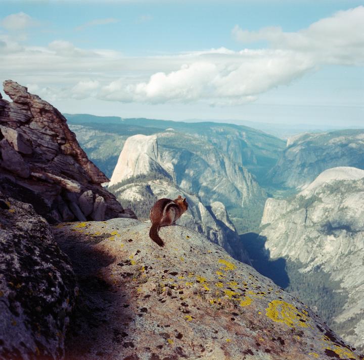 A chipmunk sits on a rock overlooking a valley with mountains and clouds in the background.
