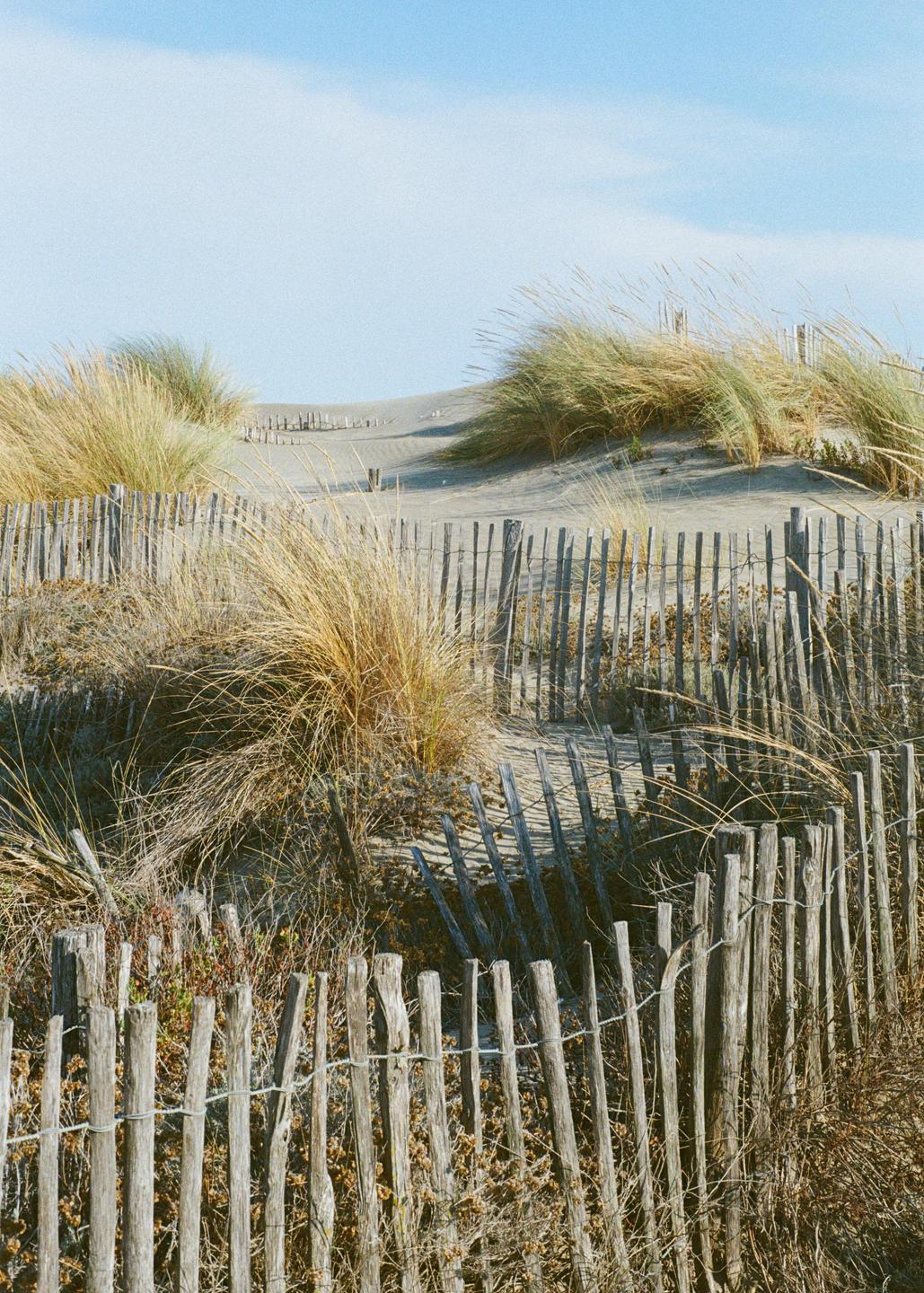 A wooden fence separates a sandy path from a dune covered in tall grass under a clear sky.