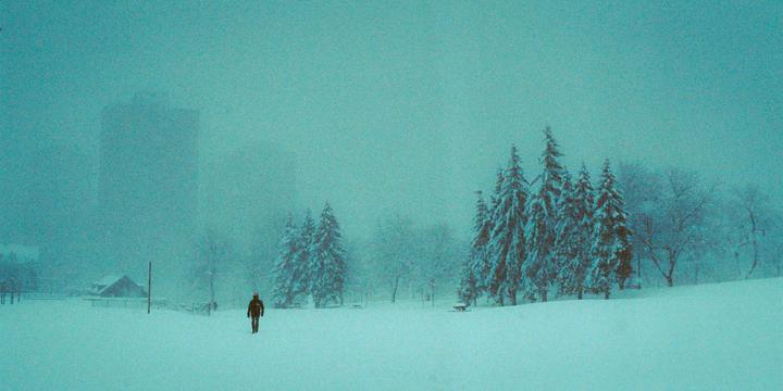 A person walks through a snow-covered field towards a cluster of pine trees, with a building visible in the hazy distance.
