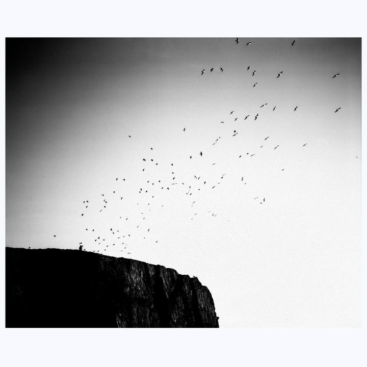 A flock of birds flies above a dark cliff with a person standing on top.