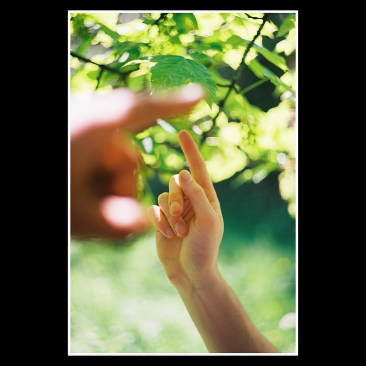 A hand points a finger towards a green leaf, with another hand out of focus in the background.