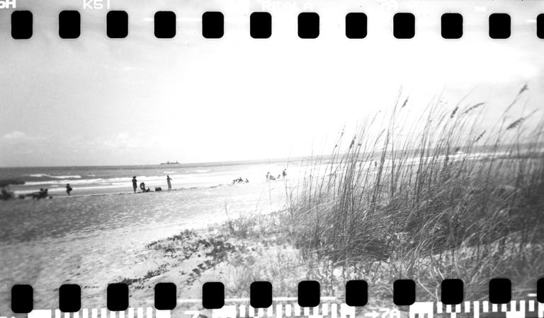 People are on a beach with tall grass in the foreground and a ship on the horizon.
