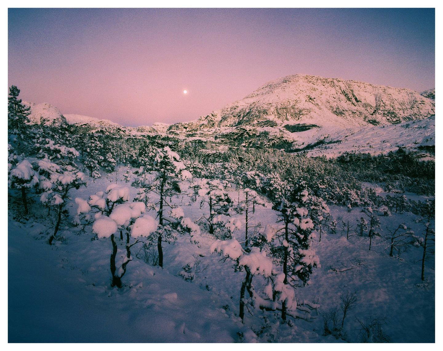 A full moon hangs in a pink sky over a snow-covered mountain and forest.