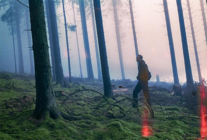 A man walks through a misty forest with moss-covered ground and tall trees.