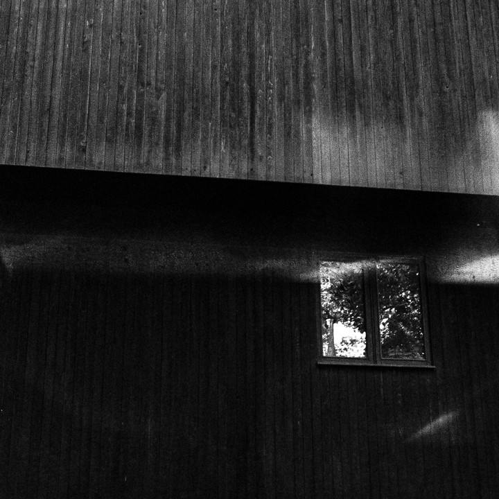 A window on a dark wooden wall reflects trees and light.