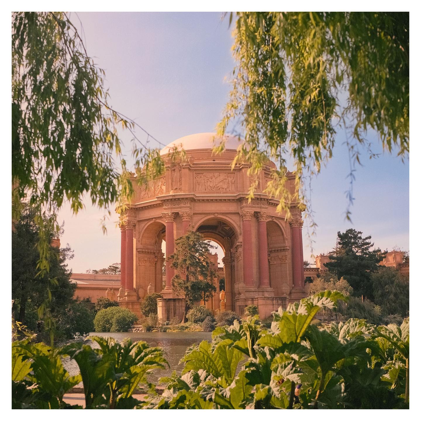 A domed building with columns and arches is visible through lush green foliage and willow branches.
