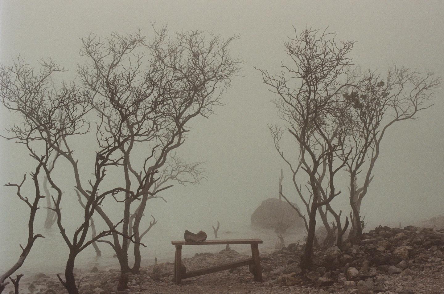 A wooden bench sits among several bare trees on a rocky, hazy landscape.