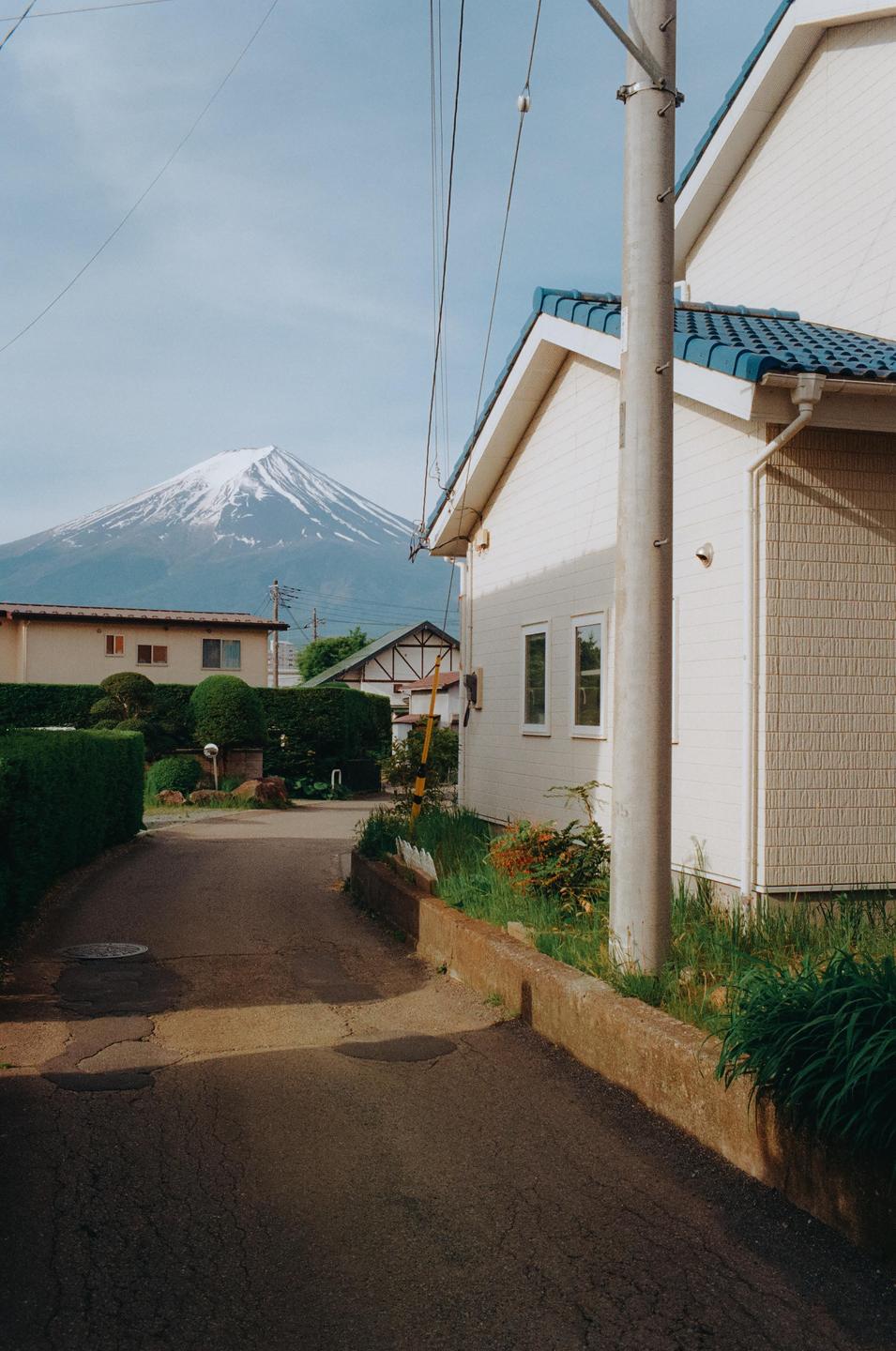 A snow-capped mountain rises above a residential street with houses and hedges.