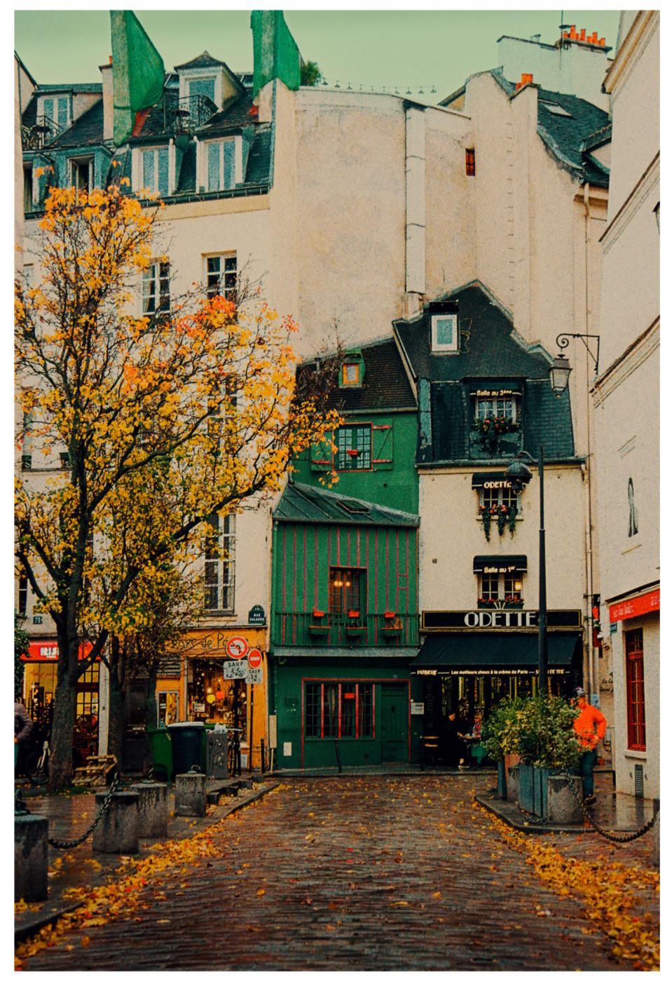 A narrow cobblestone street with autumn leaves on the ground is lined with buildings, including a green shop and a cafe named Odette.
