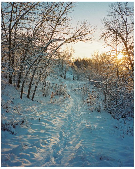 A snowy path winds through a forest with bare trees under a bright sky.
