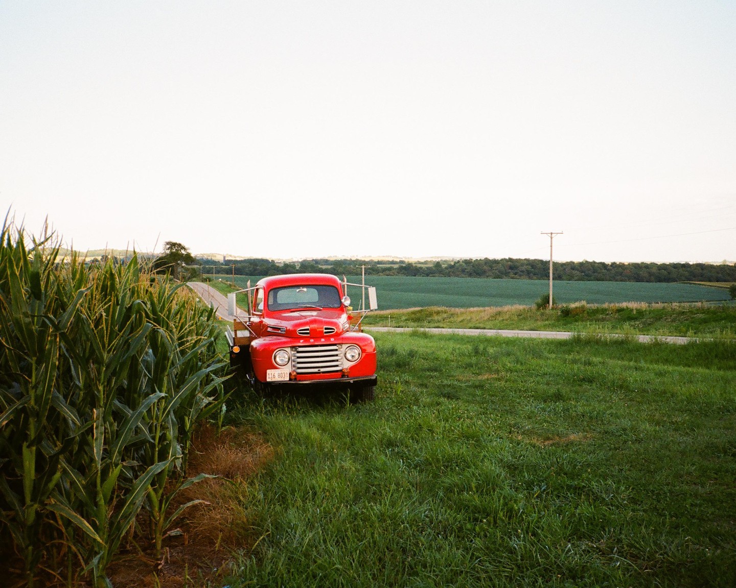 A red pickup truck is parked next to a cornfield with a road and green fields in the background.