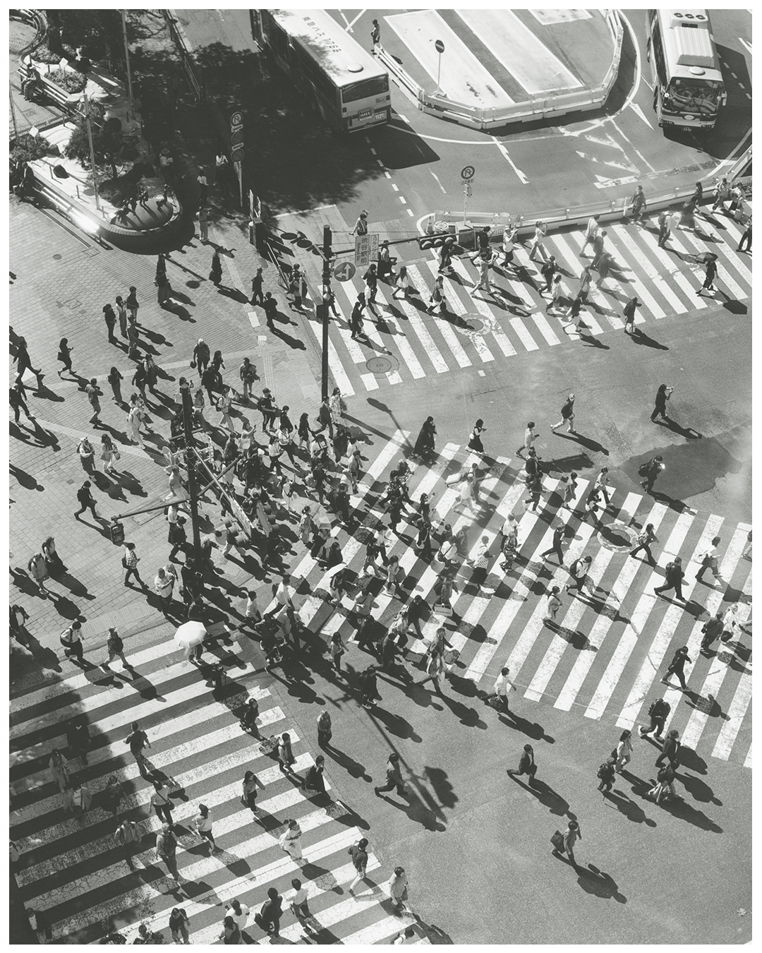 A large crowd of people crosses a busy intersection with two buses on the street.