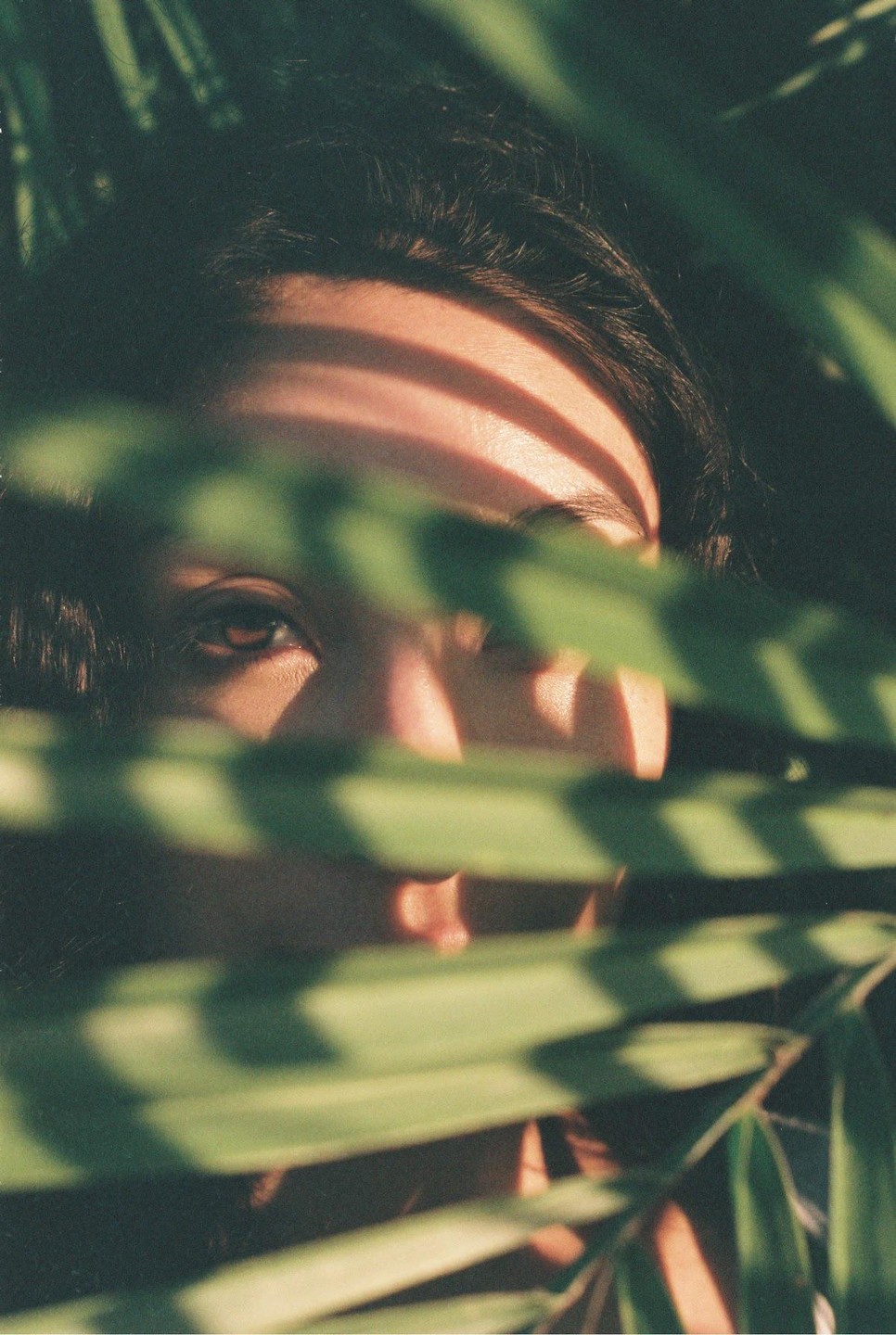 A person's face is partially obscured by green leaves, with shadows cast across their forehead and nose.