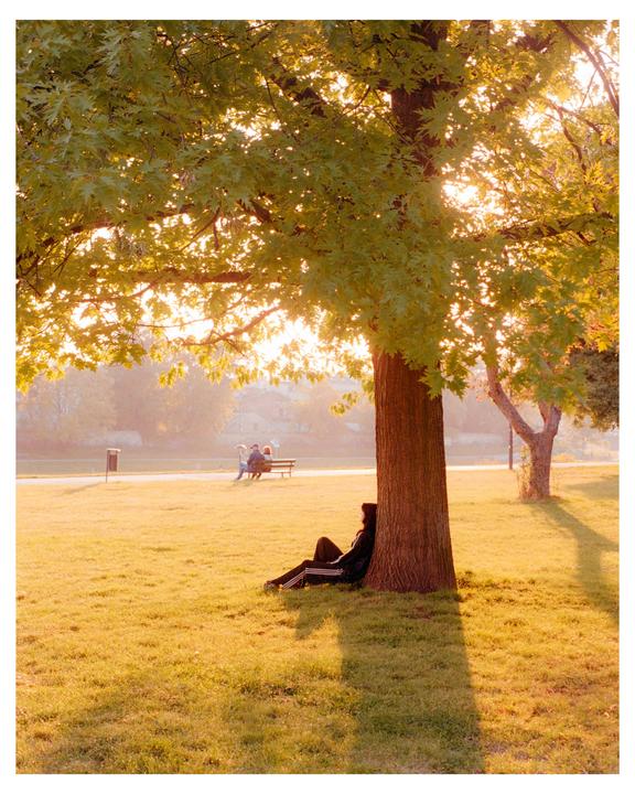 A woman sits under a tree in a park with the sun shining through the leaves.