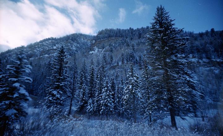 A snow-covered mountain with numerous pine trees is visible under a cloudy sky.