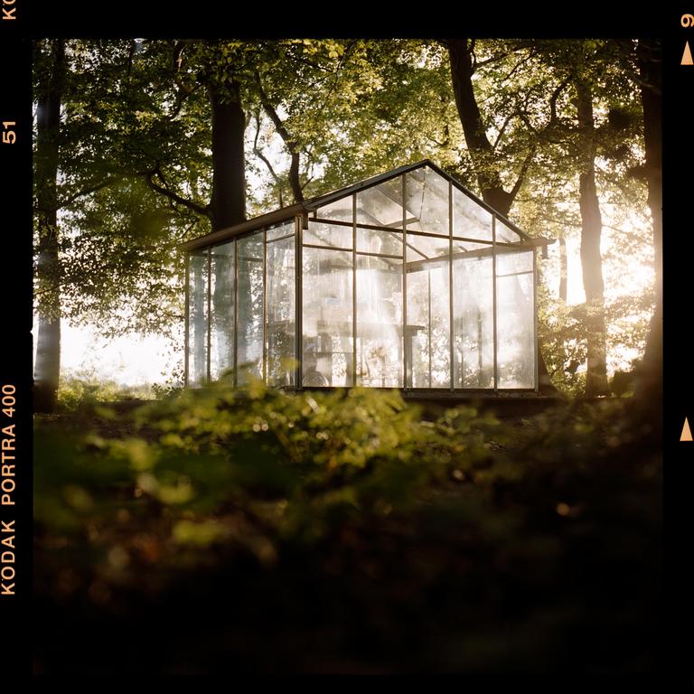 A glasshouse stands among trees with sunlight shining through its windows at sunset.