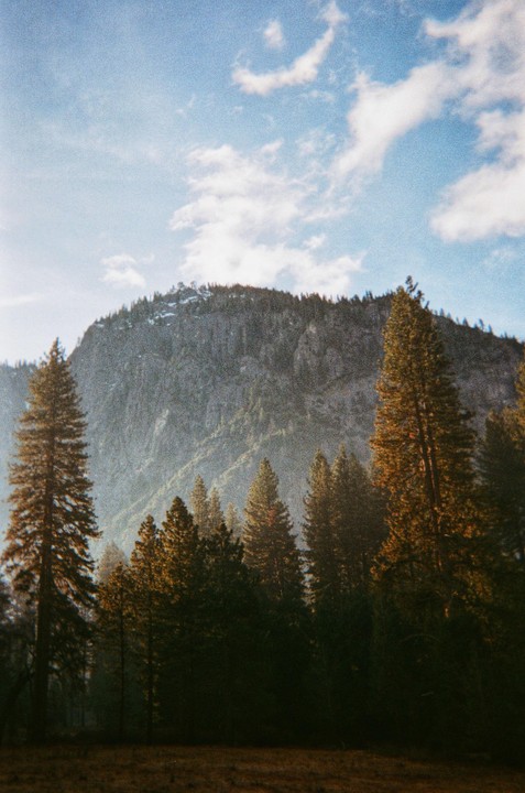 Pine trees stand in front of a large mountain under a blue sky with clouds.
