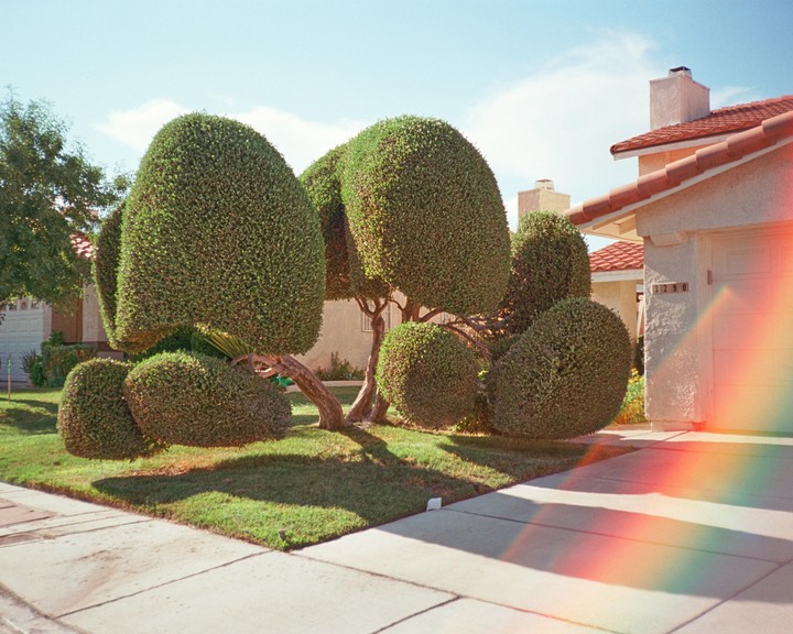 A house with a red tile roof and a garage is visible behind a manicured topiary in a front yard.