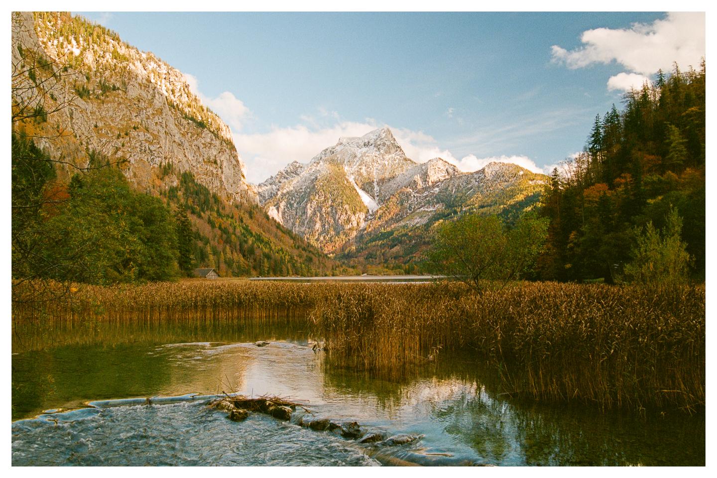A mountain lake with tall reeds in the foreground is surrounded by mountains with autumn foliage and snow-capped peaks under a blue sky.