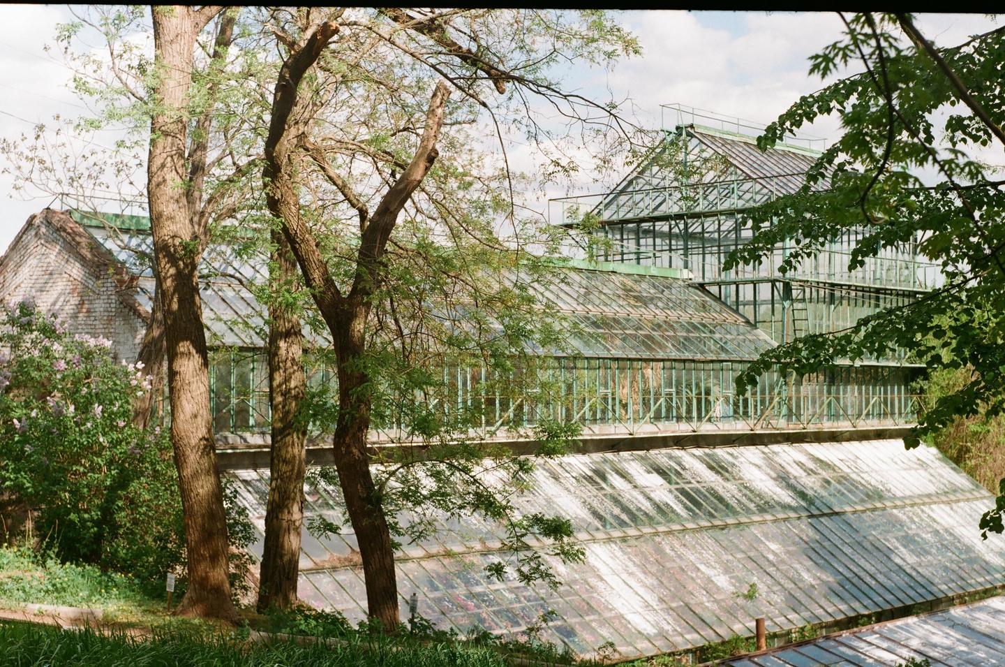 A large greenhouse complex with multiple glass structures is partially obscured by trees and foliage.