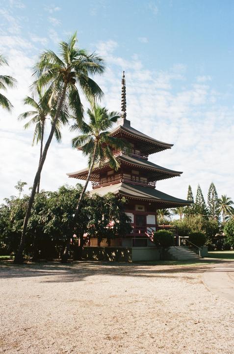 A red and white pagoda with multiple tiered roofs stands among palm trees and other foliage under a blue sky with scattered clouds.
