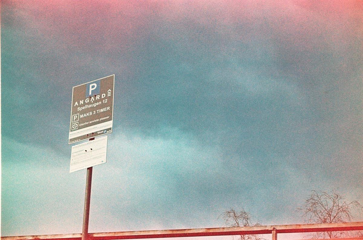 A parking sign stands against a vibrant, colorful sky with bare tree branches visible at the bottom.