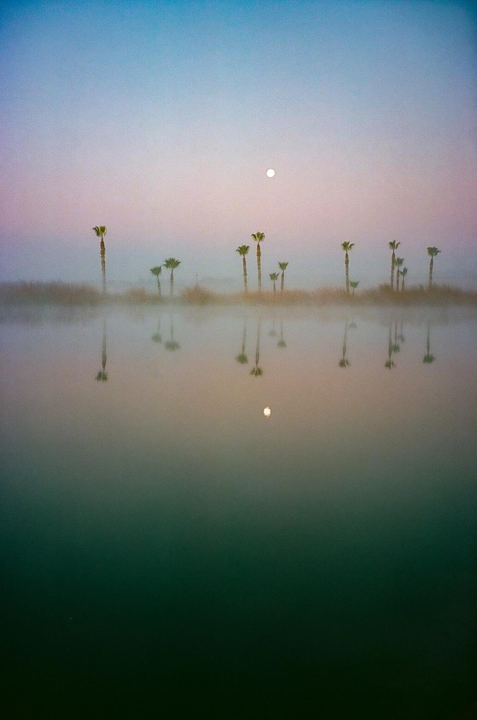 Palm trees are reflected in a body of water under a hazy sky with the moon visible.