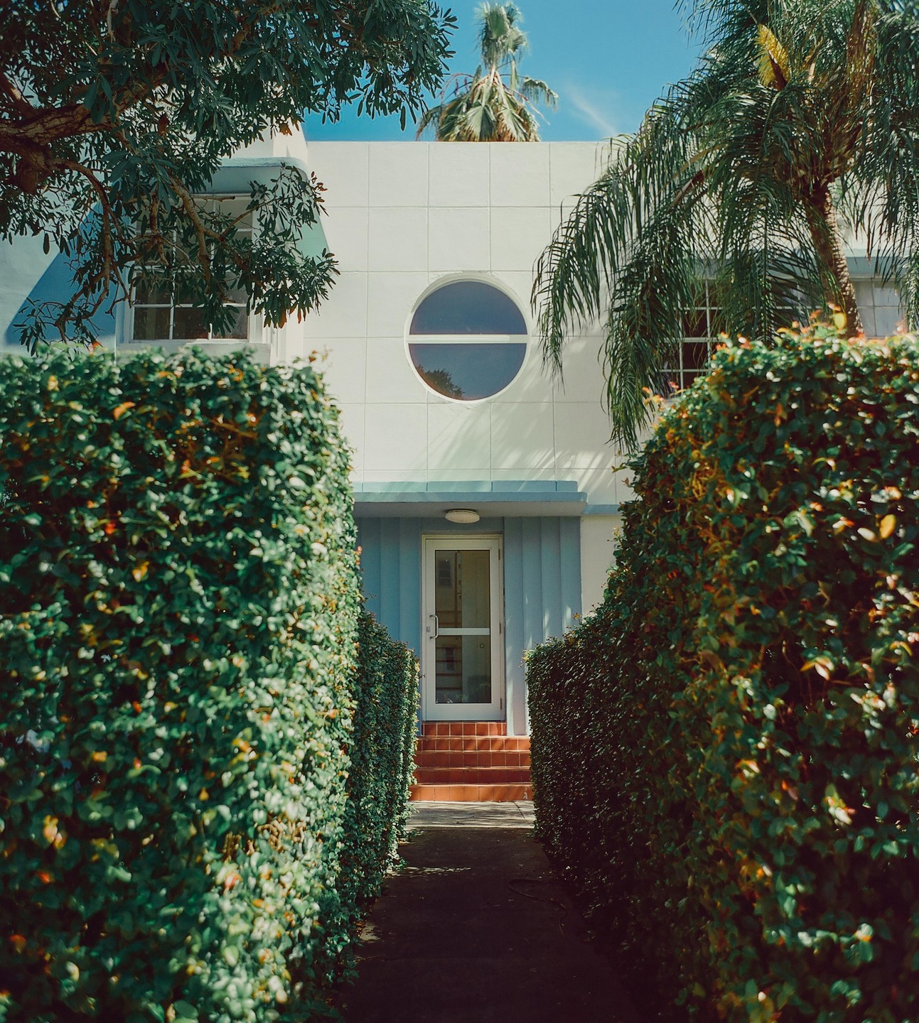 A narrow path between two tall hedges leads to the entrance of a white building with a round window and palm trees.