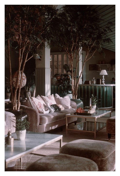 A child sleeps on a sofa in a room with trees and a bar.