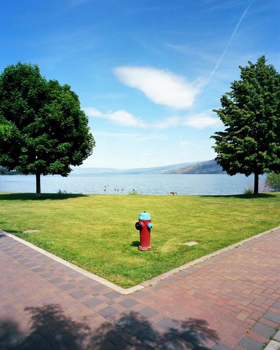 A red fire hydrant stands in a grassy area between two trees, with a lake and mountains in the background.